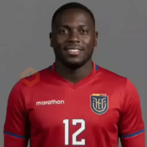 ⚽ Ecuador Copa Mundial 🇪🇨 sticker 20