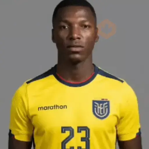 ⚽ Ecuador Copa Mundial 🇪🇨 sticker 15