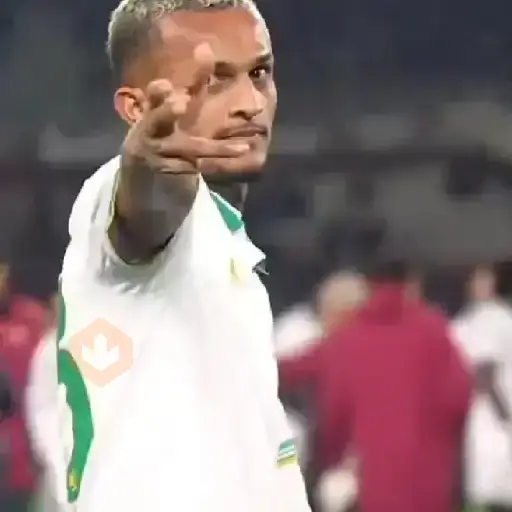 fútbol mundial coquetas sticker 19