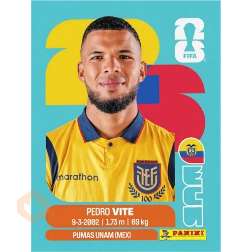 Stickers del Mundial 2026 Ecuador 🇪🇨 sticker 11