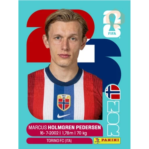 Stickers del Mundial 2026 Noruega 🇳🇴 sticker 19