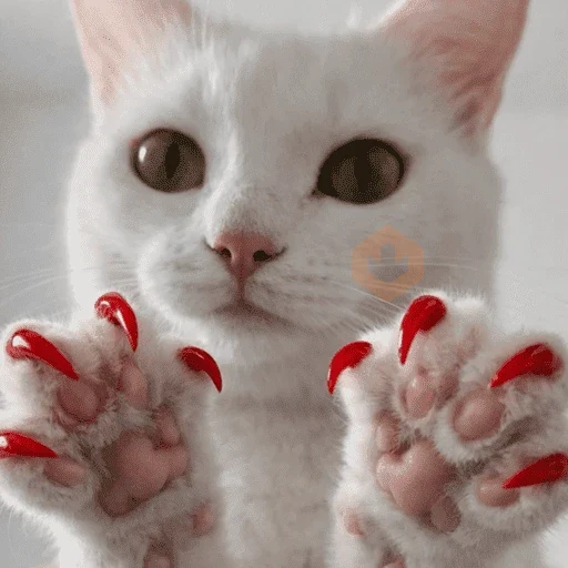 Gato fofos sticker 11