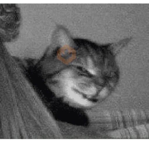 Gatos/C.Celic sticker 26