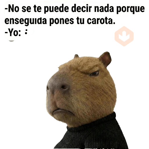 ecuador sticker 27
