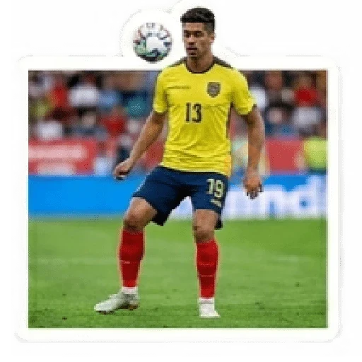Ecuador equipo 😊🦈⚽️ sticker 11