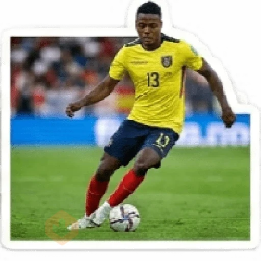 Ecuador equipo 😊🦈⚽️ sticker 12