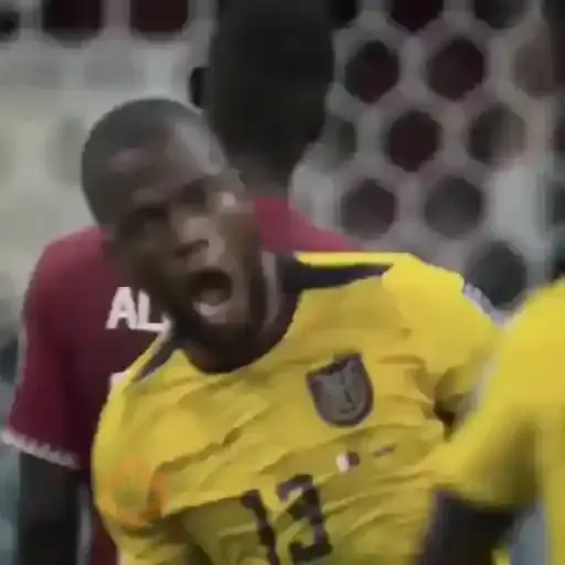 Selección de Ecuador 🇪🇨 sticker 12
