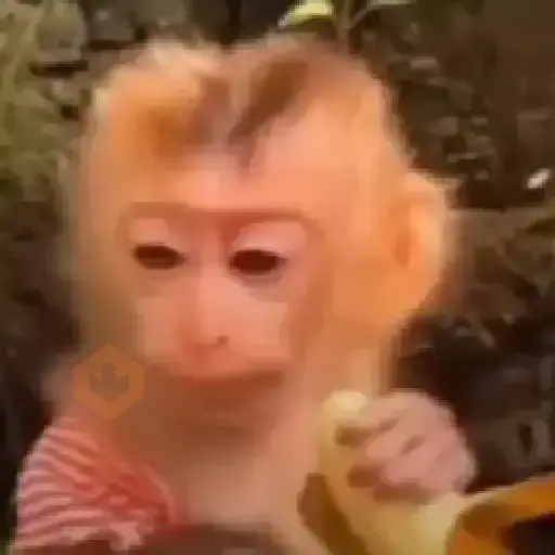 Memes e xitpost animados sticker 19