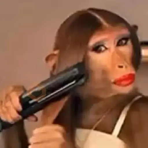 Memes e xitpost animados sticker 16