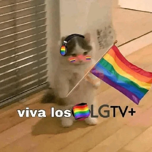 Memes LGBTQ➕ sticker 14