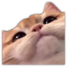 tray-icon