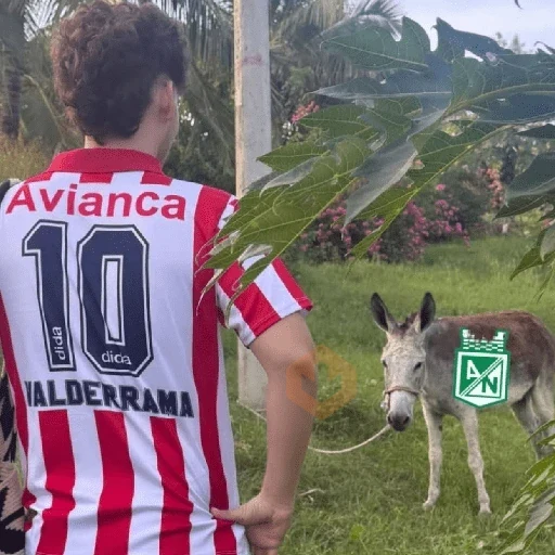 Junior de Barranquilla #7 sticker 25