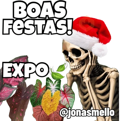 Minhas figurinhas sticker 15