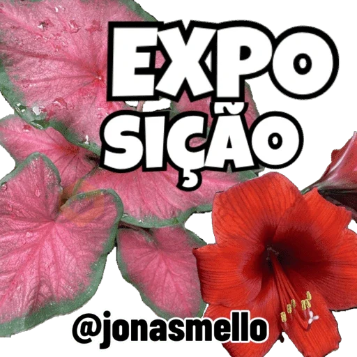 Minhas figurinhas sticker 22