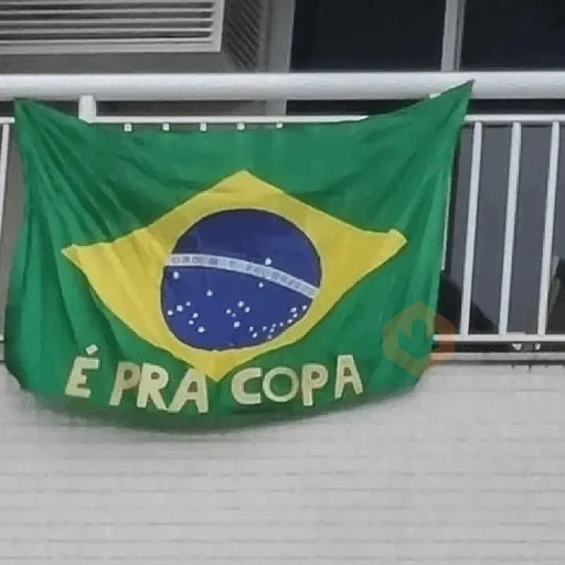 Seleção Brasileira | Memes 🇧🇷 sticker 29