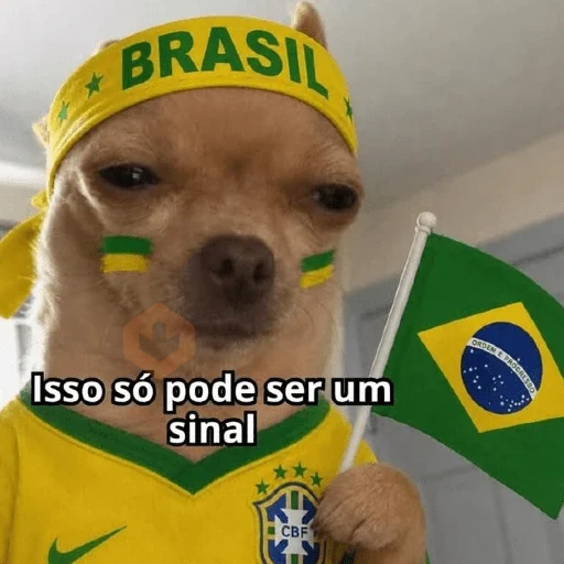 Seleção Brasileira | Memes 🇧🇷 sticker 24
