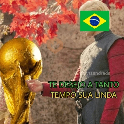 🇧🇷✨ VAI BRASIL 🇧🇷✨ sticker 26