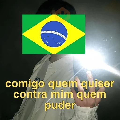 🇧🇷✨ VAI BRASIL 🇧🇷✨ sticker 23