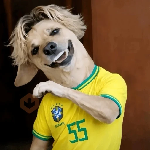 🇧🇷✨ VAI BRASIL 🇧🇷✨ sticker 19