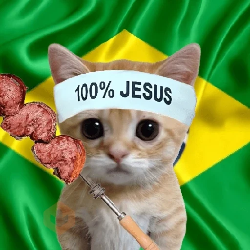 🇧🇷✨ VAI BRASIL 🇧🇷✨ sticker 12