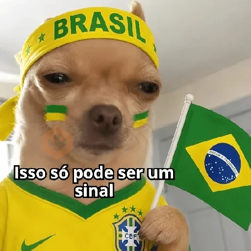 🇧🇷✨ VAI BRASIL 🇧🇷✨ sticker 22