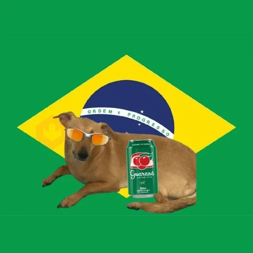 🇧🇷✨ VAI BRASIL 🇧🇷✨ sticker 20