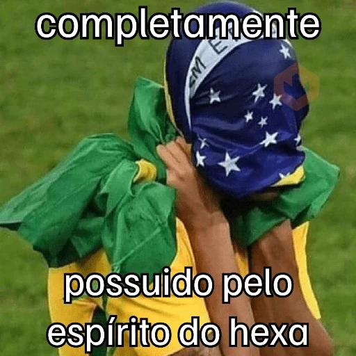 VAI BRASIL 🇧🇷💚💛 sticker 27