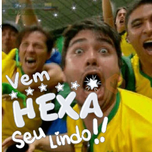 VAI BRASIL 🇧🇷💚💛 sticker 17