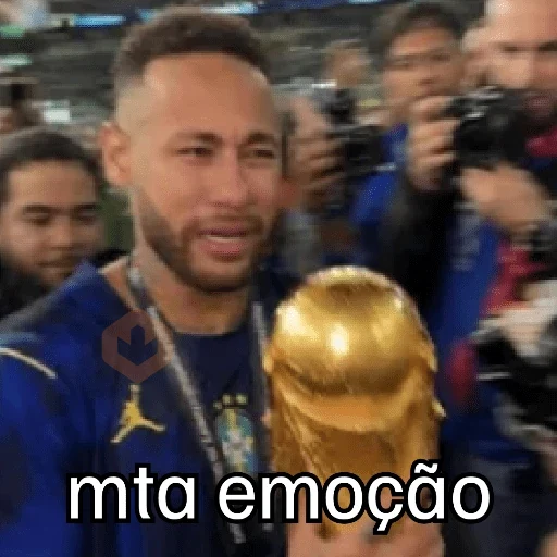 VAI BRASIL 🇧🇷💚💛 sticker 16