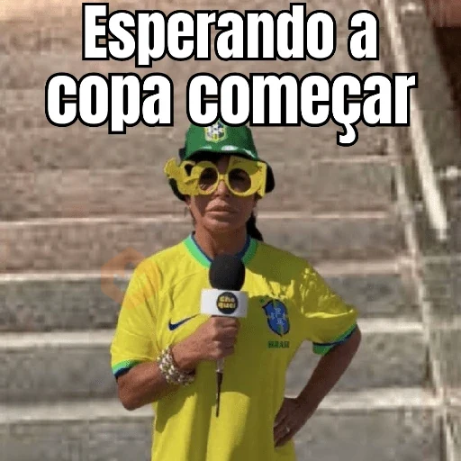 VAI BRASIL 🇧🇷💚💛 sticker 24
