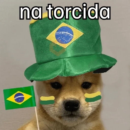 VAI BRASIL 🇧🇷💚💛 sticker 26