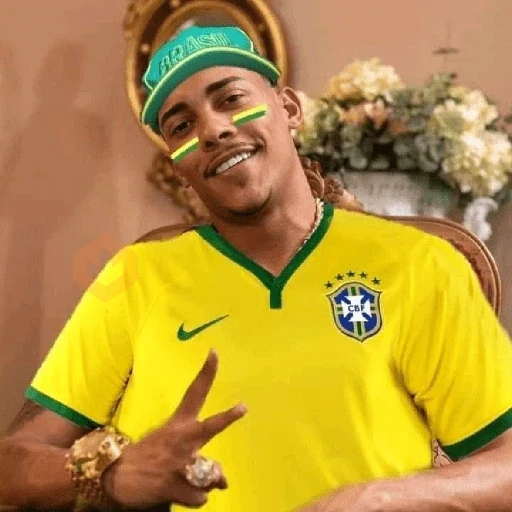VAI BRASIL 🇧🇷💚💛 sticker 20