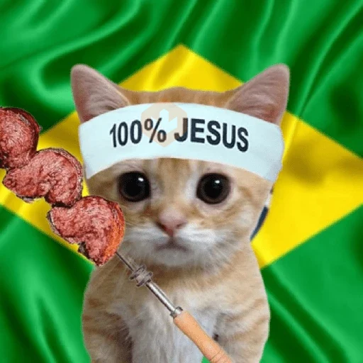 VAI BRASIL 🇧🇷💚💛 sticker 18