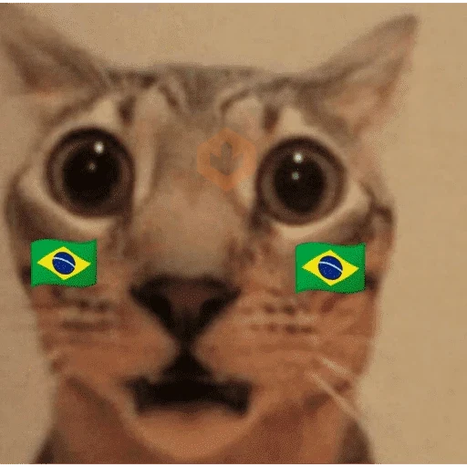 bora brasil 🇧🇷💚💛 sticker 13