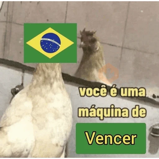 bora brasil 🇧🇷💚💛 sticker 11