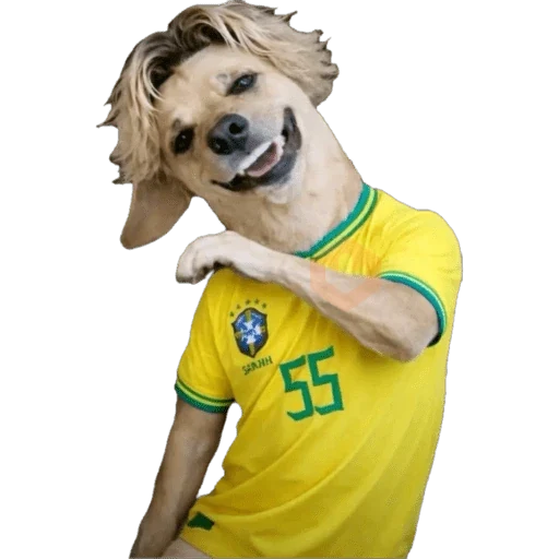 Brasil x Marrocos sticker 14