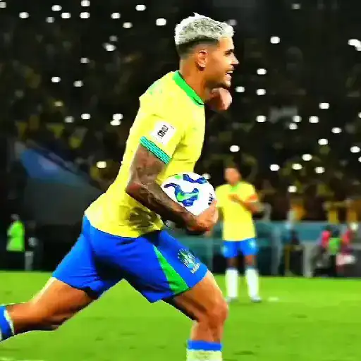 Seleção 🇧🇷 pra comemorar sticker 18