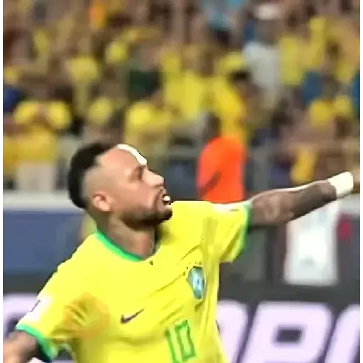 Seleção 🇧🇷 pra comemorar sticker 12