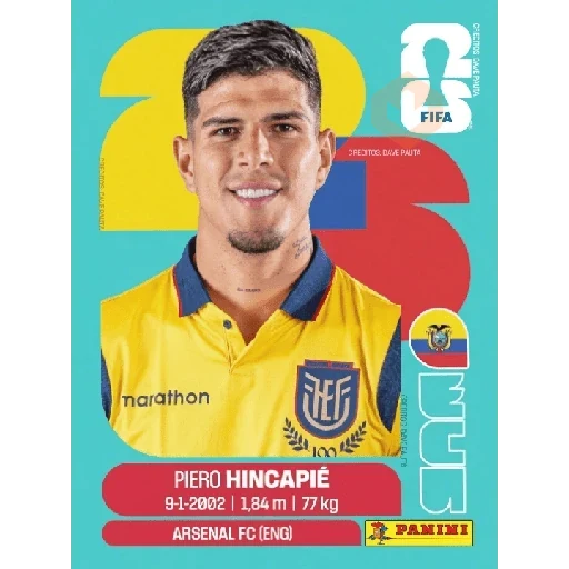 Ecuador Fútbol ⚽️Estampas sticker 15