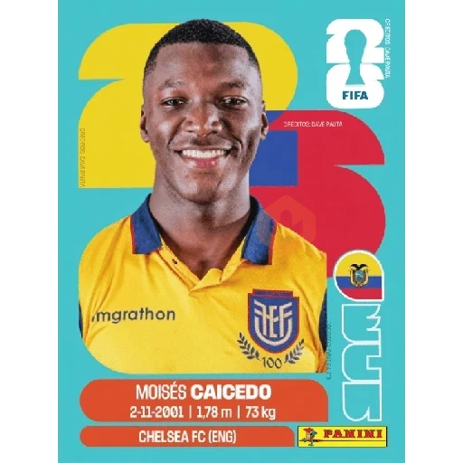 Ecuador Fútbol ⚽️Estampas sticker 14