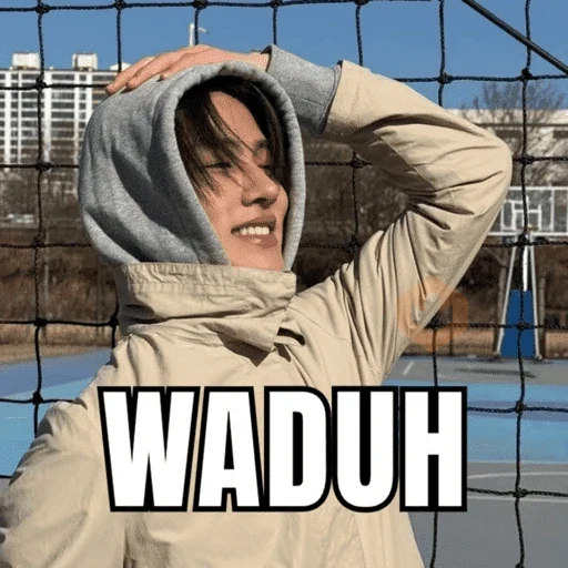 Cortis meme 🤪 sticker 17