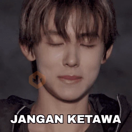 Cortis meme 🤪 sticker 24