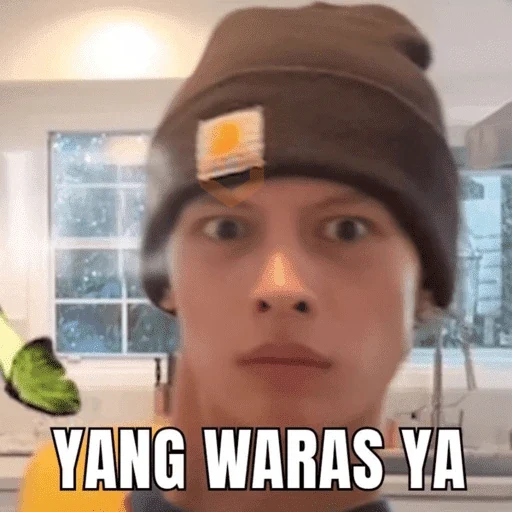 Cortis meme 🤪 sticker 18