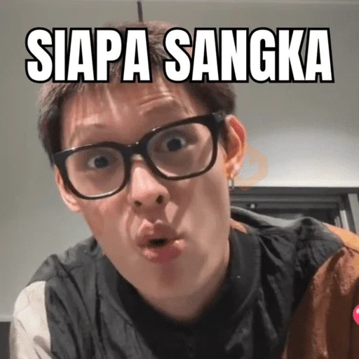 Cortis meme 🤪 sticker 11