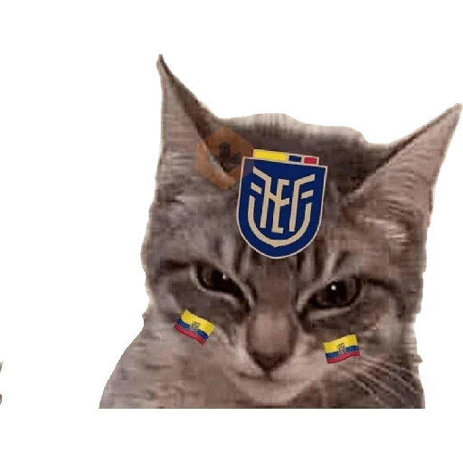 selección Ecuador sticker 13