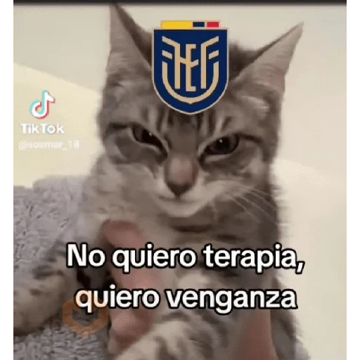 selección Ecuador sticker 12