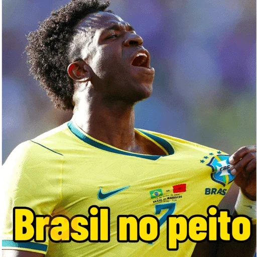 Brasil memes sticker 12