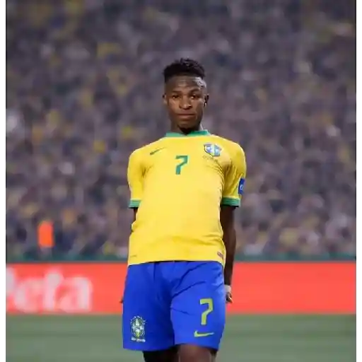 vinicius Jr brasil sticker 14