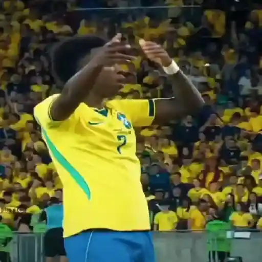 vinicius Jr brasil sticker 11