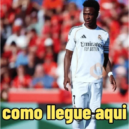 vinicius junior⚽️moods fútbol sticker 17